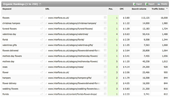 seo organic ranking